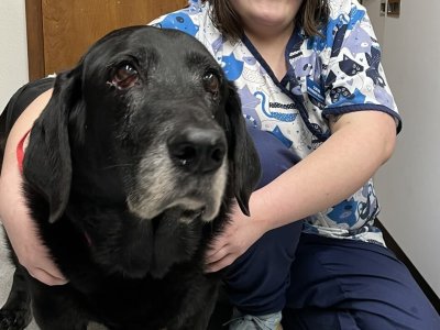 427782180_918669006926441_3641090933594486479_n